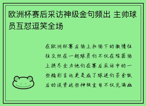 欧洲杯赛后采访神级金句频出 主帅球员互怼逗笑全场 欧洲杯赛后采访神级金句频出 主帅球员互怼逗笑全场